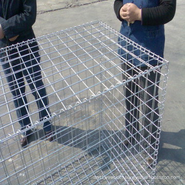 50*50mm Mesh Size Galvanized Welded Gabion Box